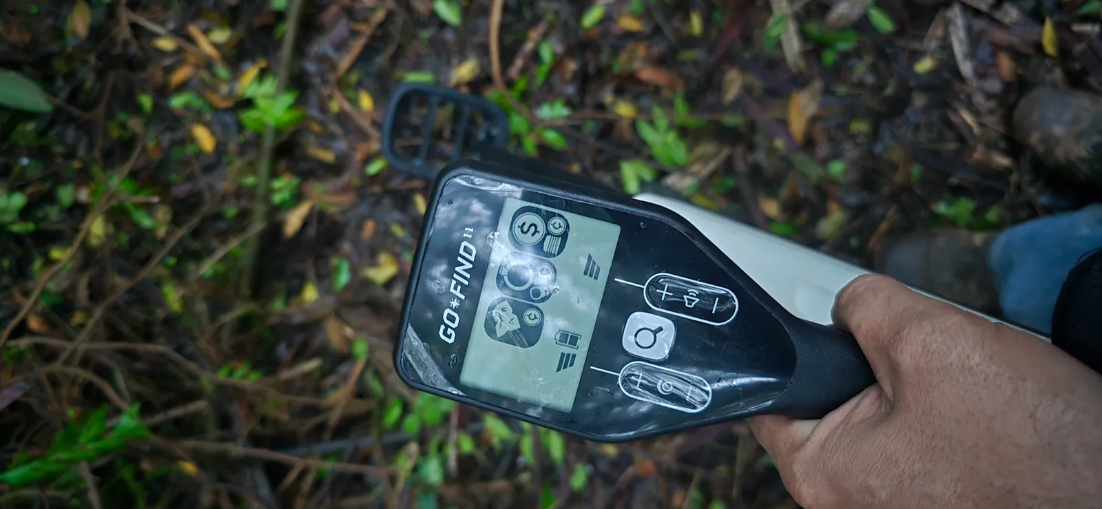 Detector de metais em uso sobre folhas secas e vegetação rasteira
